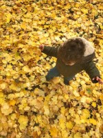 IUGR Awareness Day&nbsp;2017